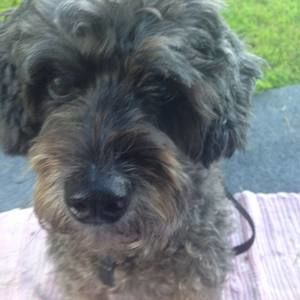 Meet your Posher, Lon